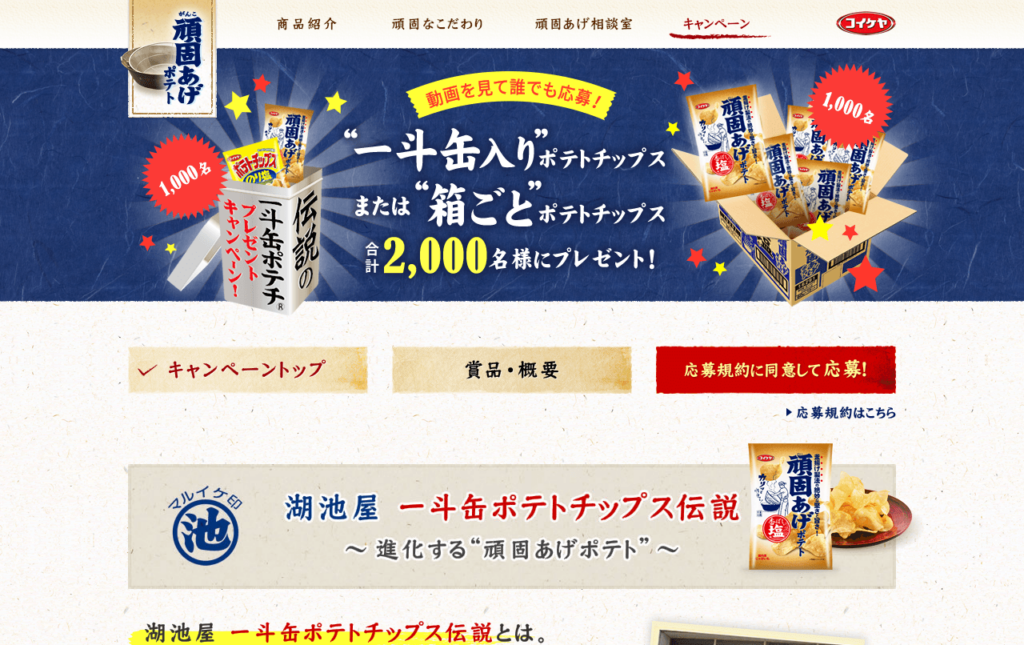 koikeya_co_jp_gankoage_ittokan-cp2015