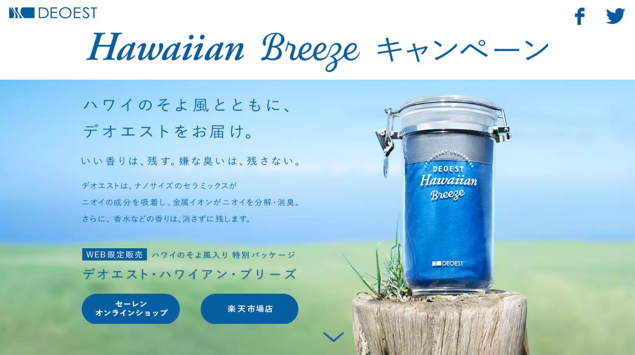 デオエスト限定商品サイト|セーレン株式会社