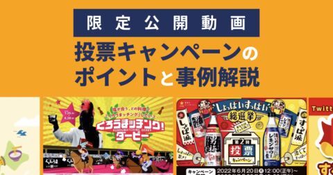 【限定公開動画】市場調査にも！？投票キャンペーンのポイントと6つの事例解説