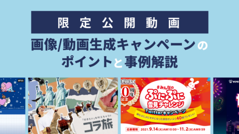 【限定公開動画】参加者をファンにする！画像/動画生成キャンペーンのポイントと7つの事例解説