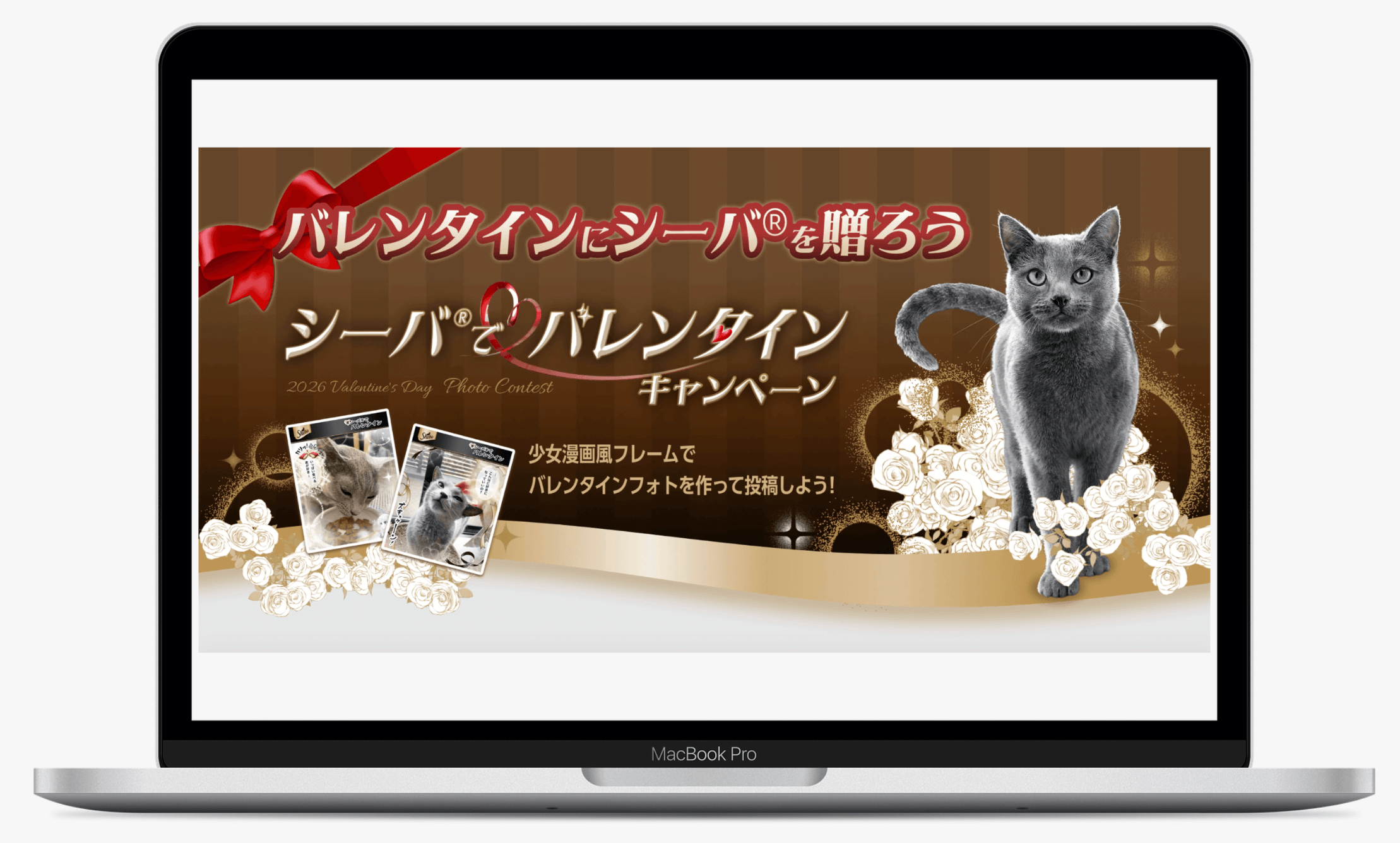 シーバ®でバレンタインキャンペーン｜シーバ