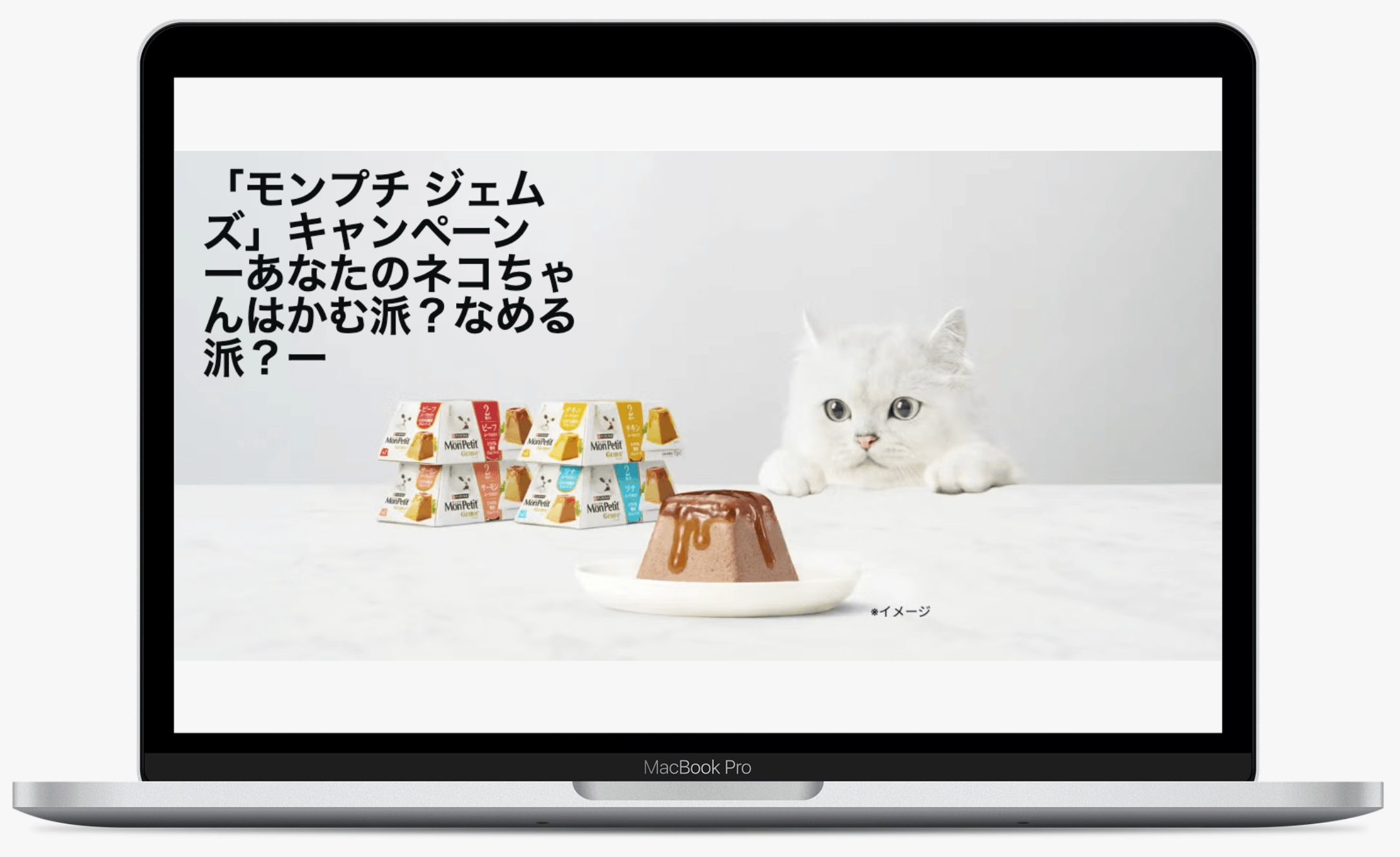 「モンプチ ジェムズ」キャンペーン ーあなたのネコちゃんはかむ派?なめる派?-