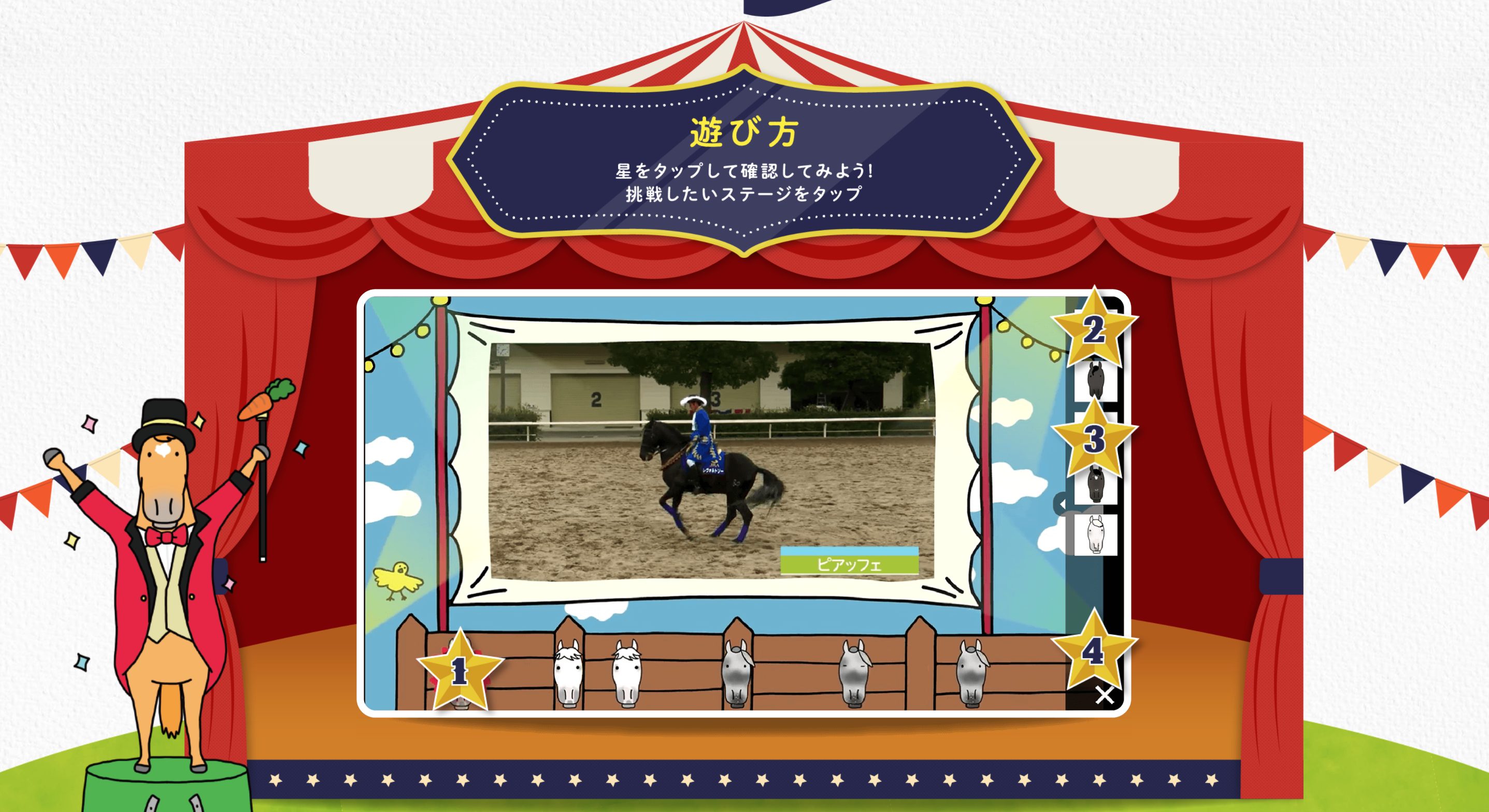 スペシャルホースショー! | JRA 東京競馬場乗馬センターHP画像